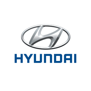 Hyundai mileage blockers